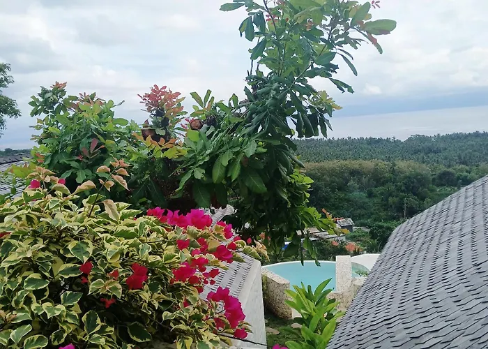 Penida View Village - Infinity Pool&volcano View Hotel Toyapakeh